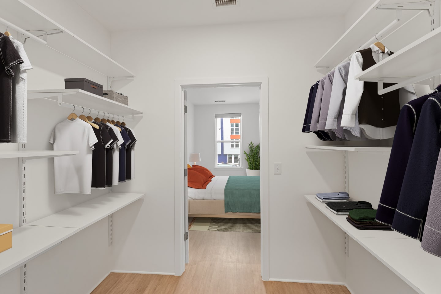 Canvas Apartments Image 3