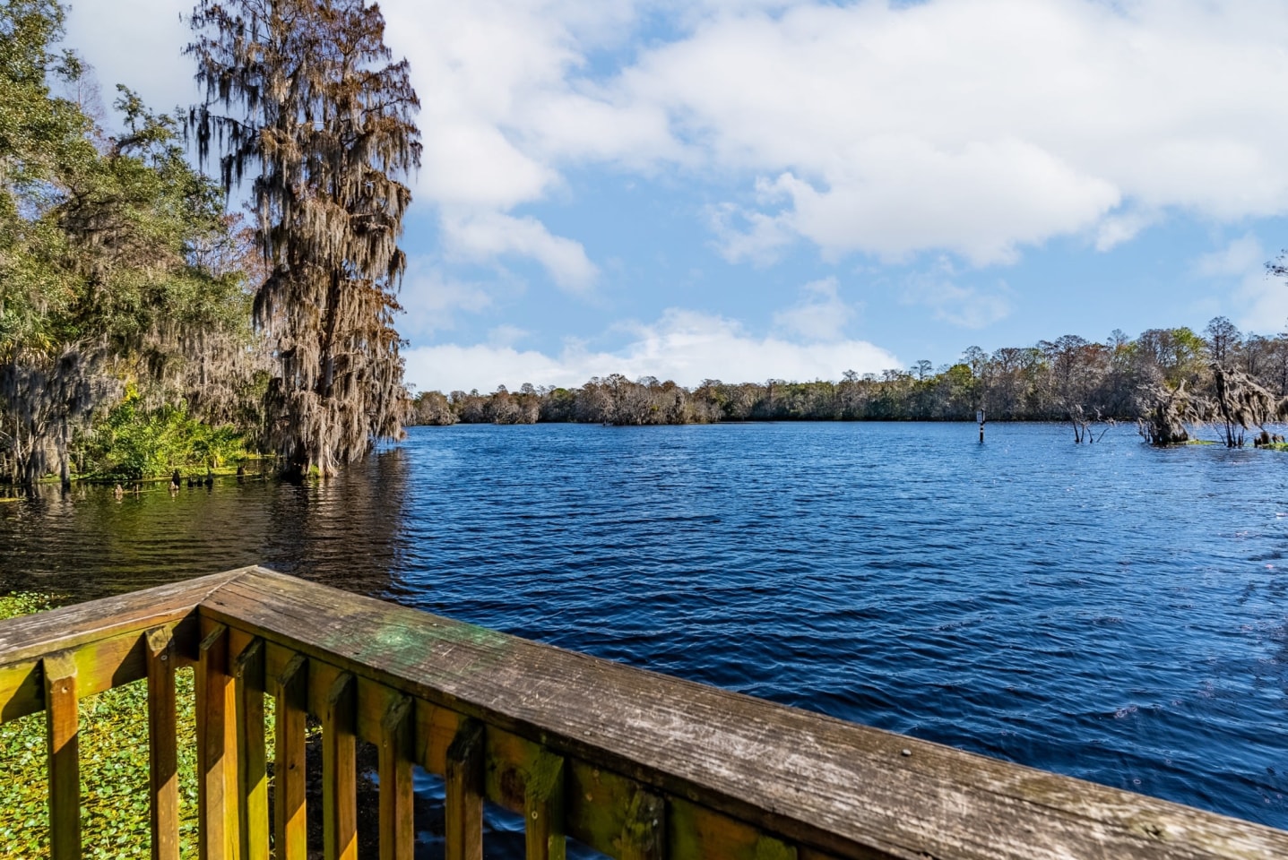 River View Image 39