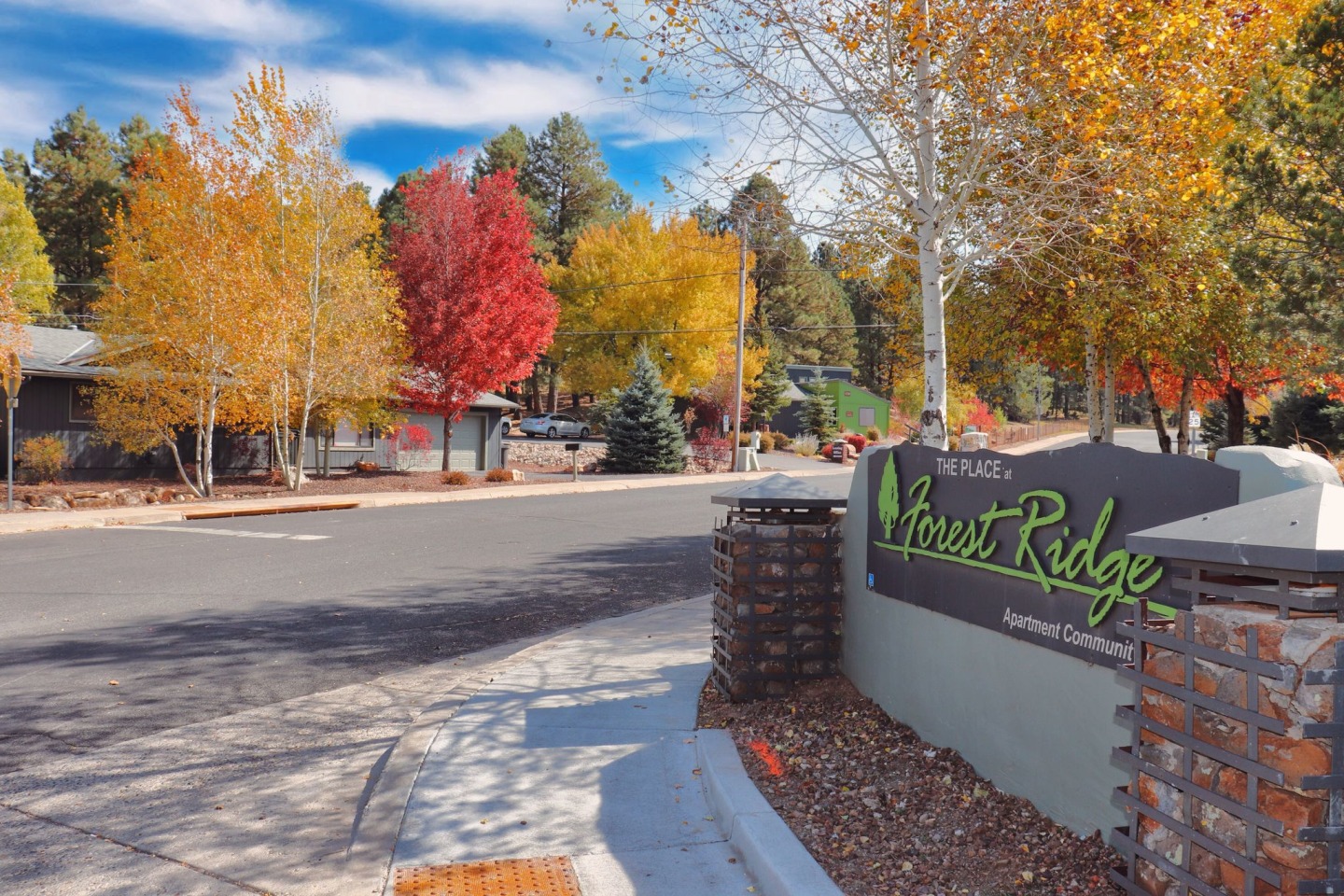 The Place At Forest Ridge Apartments Image 1