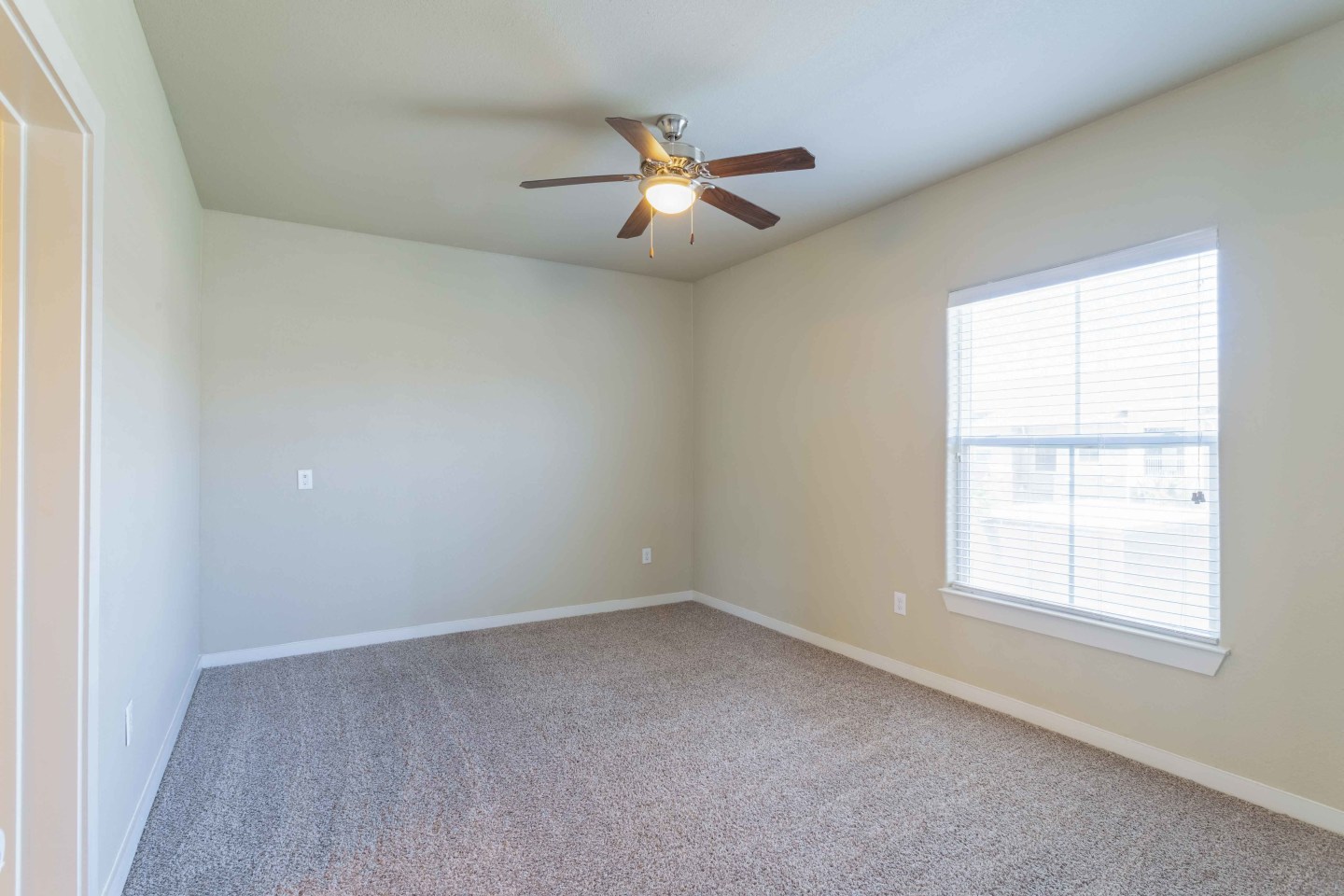 Century Palm Bluff Image 24