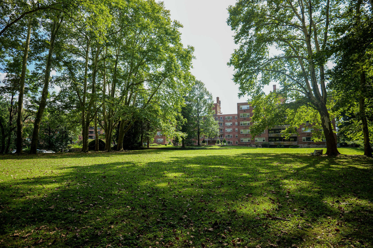 429 Apartments Image 27
