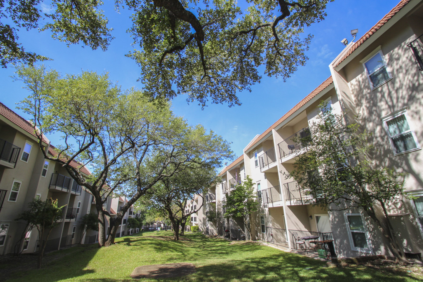 Princeton Court Image 51