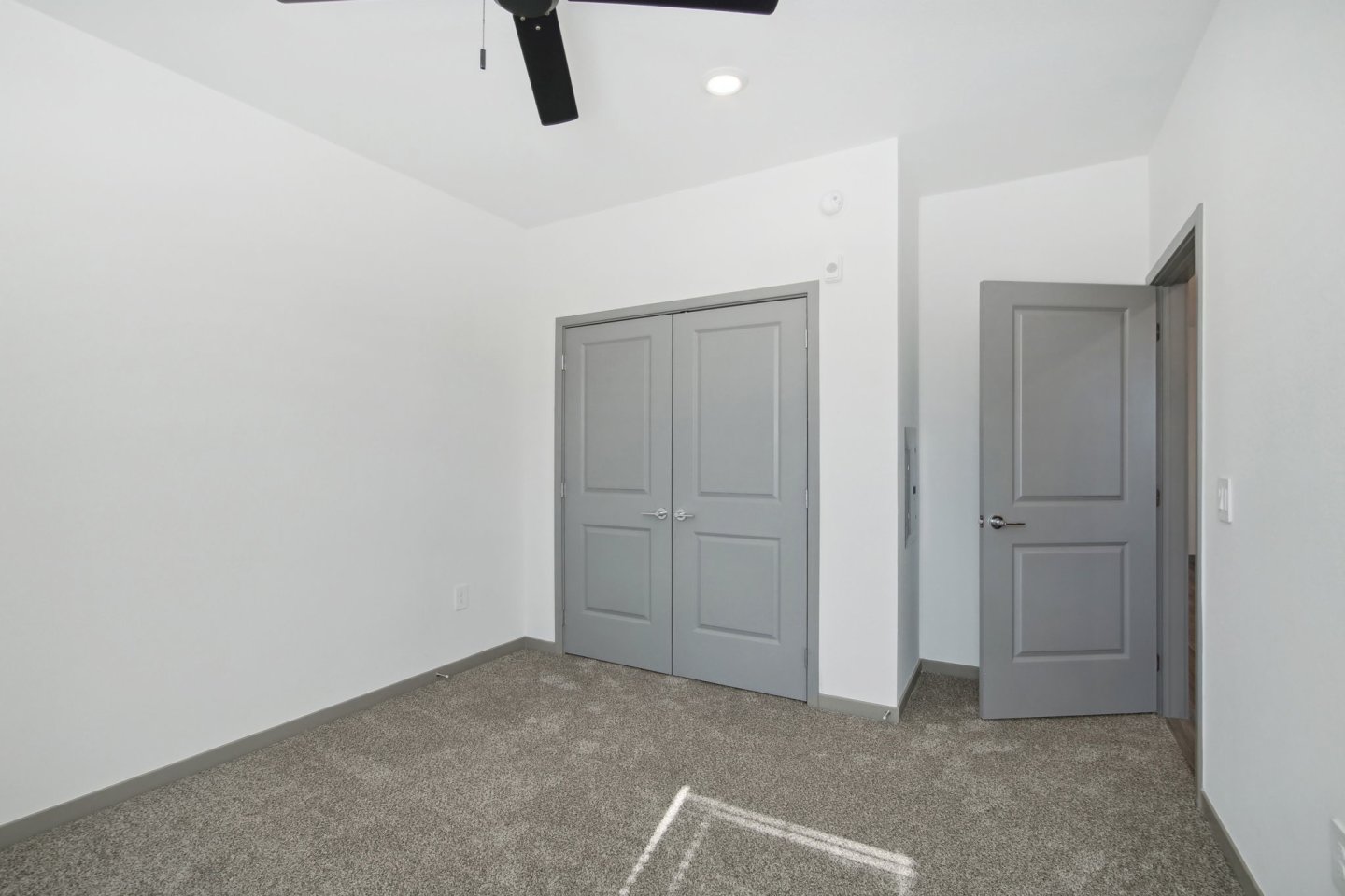 The Maddox Image 89