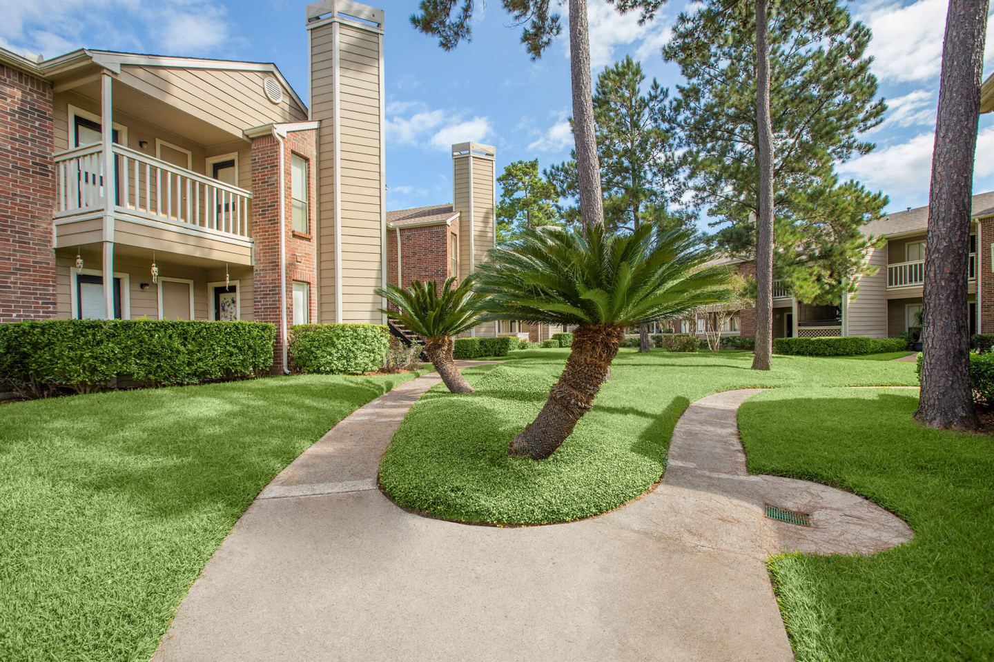 Pine Hills Image 23