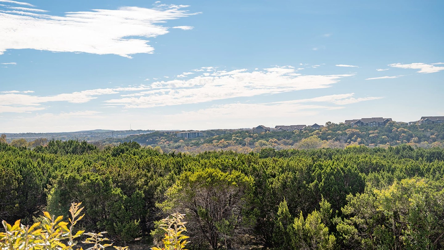 Cortland Bluff Springs Image 42