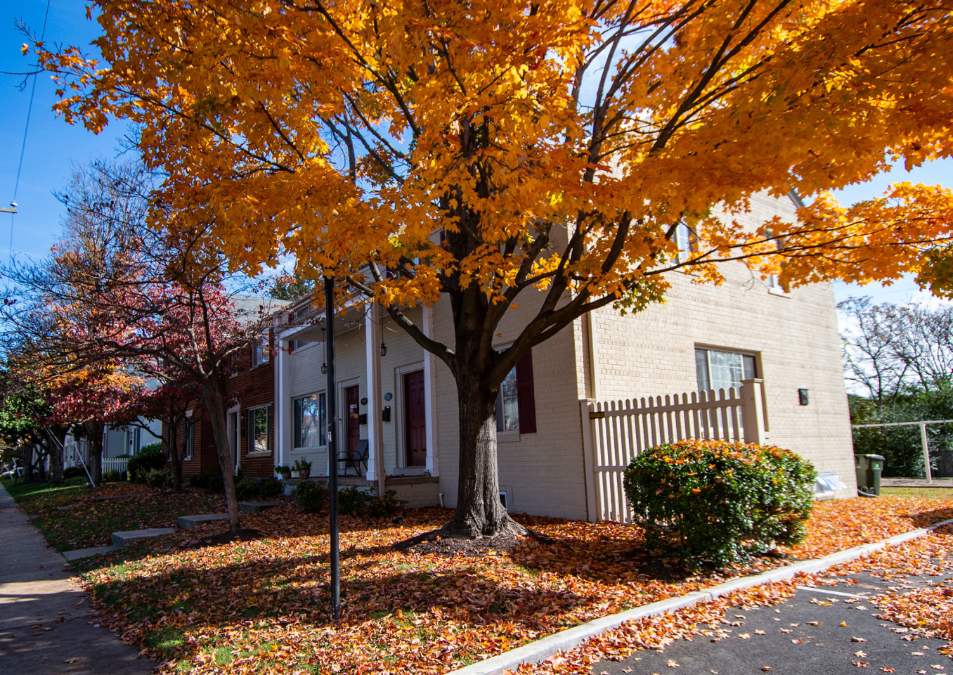 Brookville Townhomes Image 61