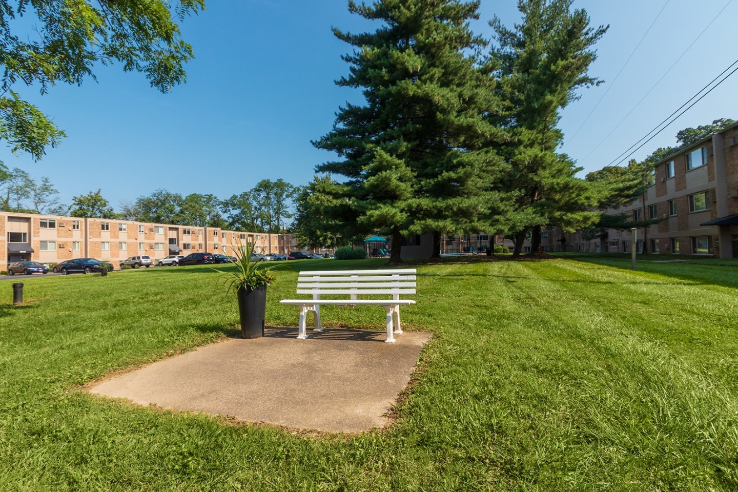 Red Bank Reserve Image 33