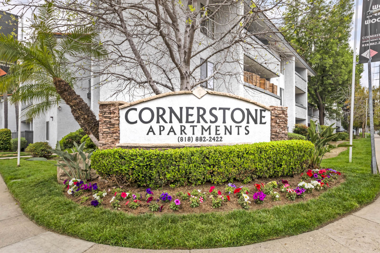 Cornerstone Image 29