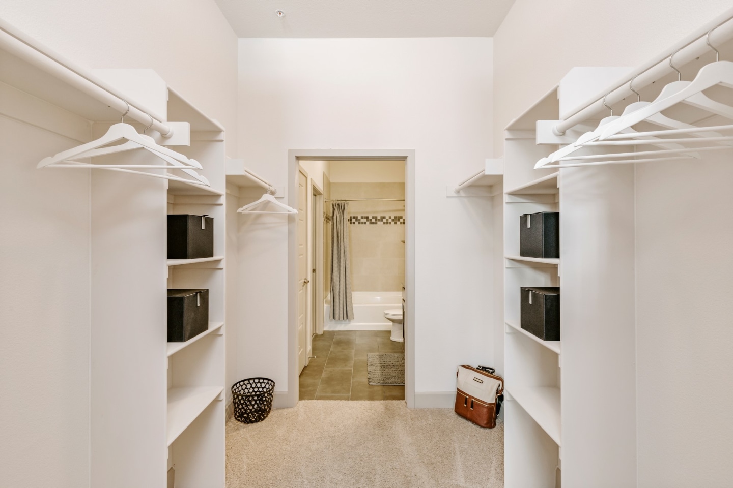 City House Apartments Image 8