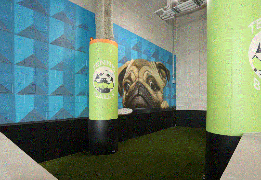 Synergy at the Mayfair Collection Image 12