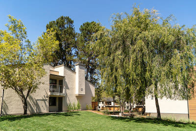 Sharon Green Image 45