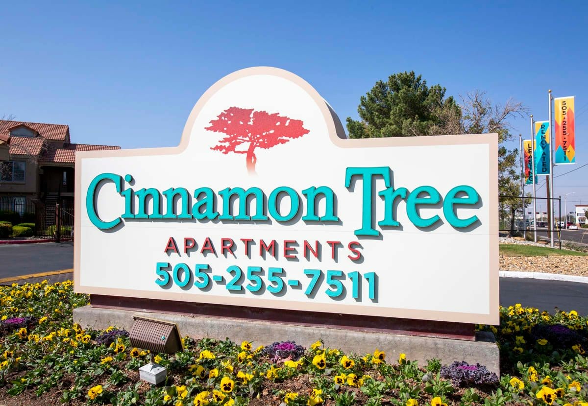 Cinnamon Tree Image 1