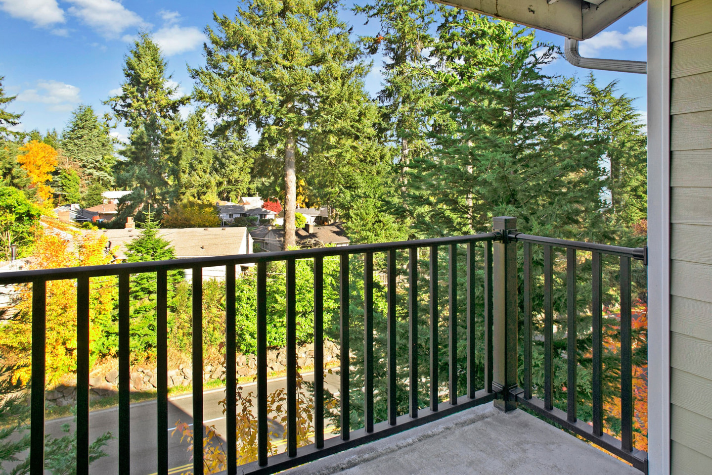 Forest Hills Image 6