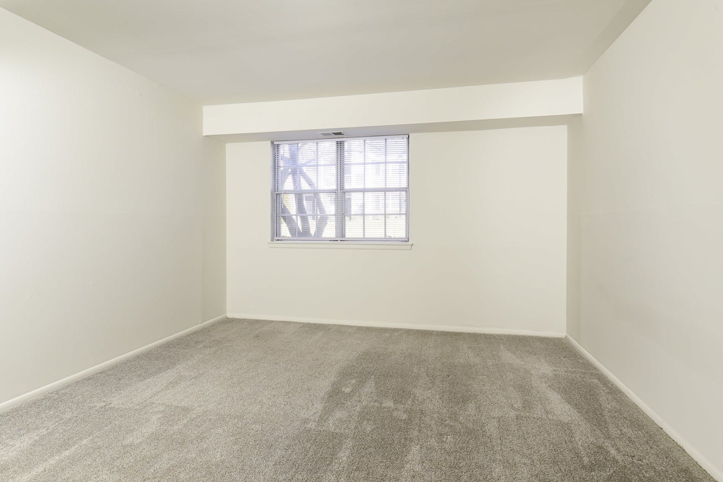 Stirling Court Image 16