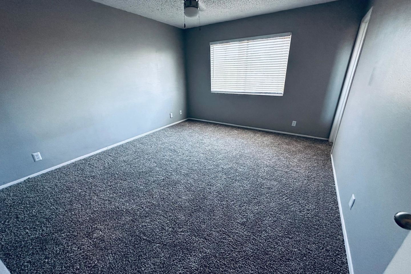 Station 19 Apartments Image 3