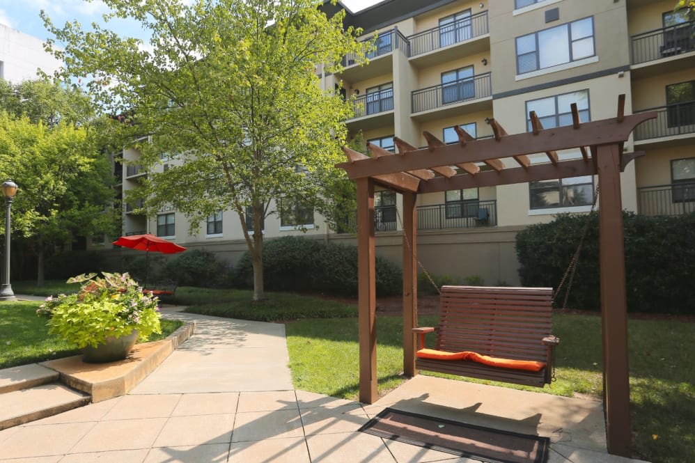City Plaza Image 13