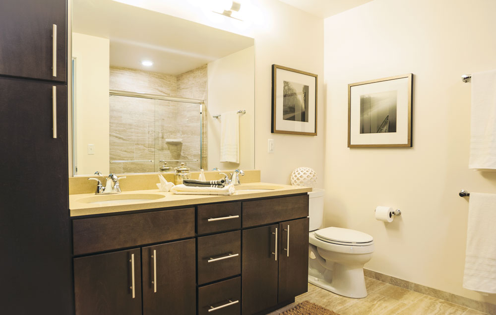 Ovation 309 Image 31