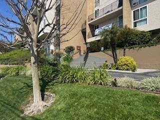 Bayside Terrace Image 13