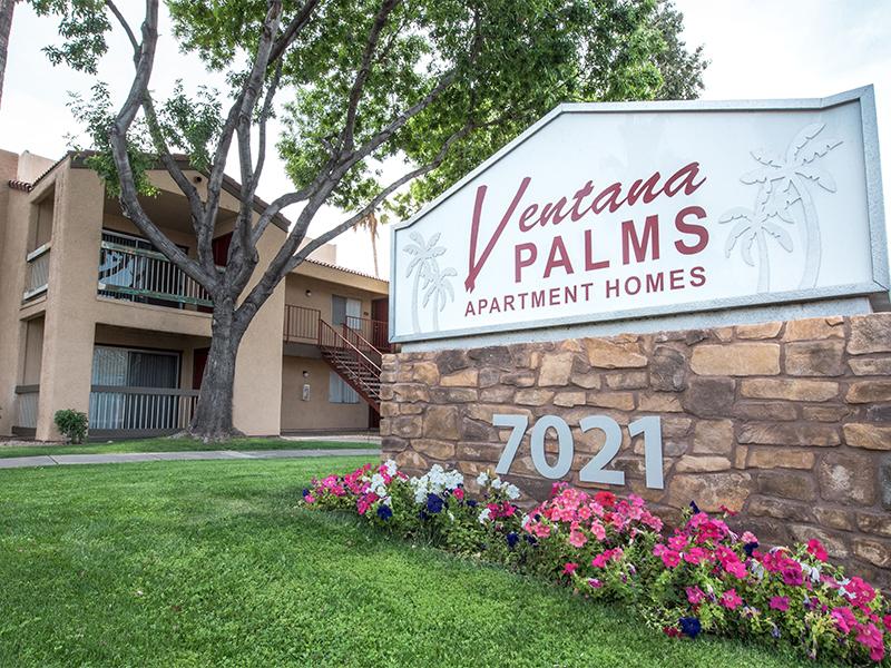 Ventana Palms Image 25