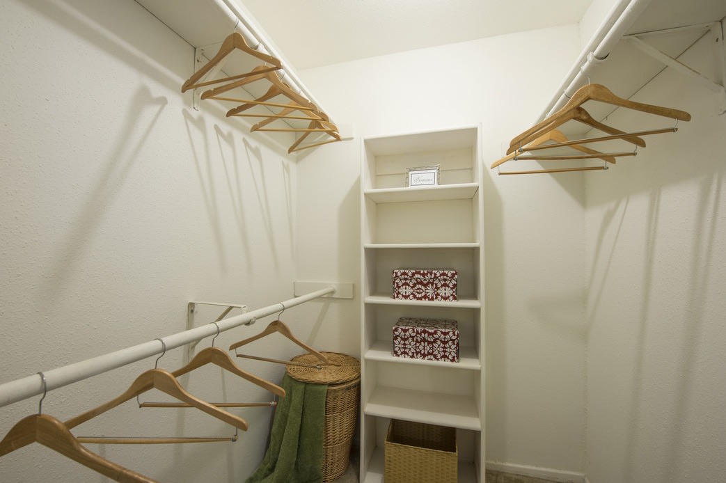 Raintree Image 7