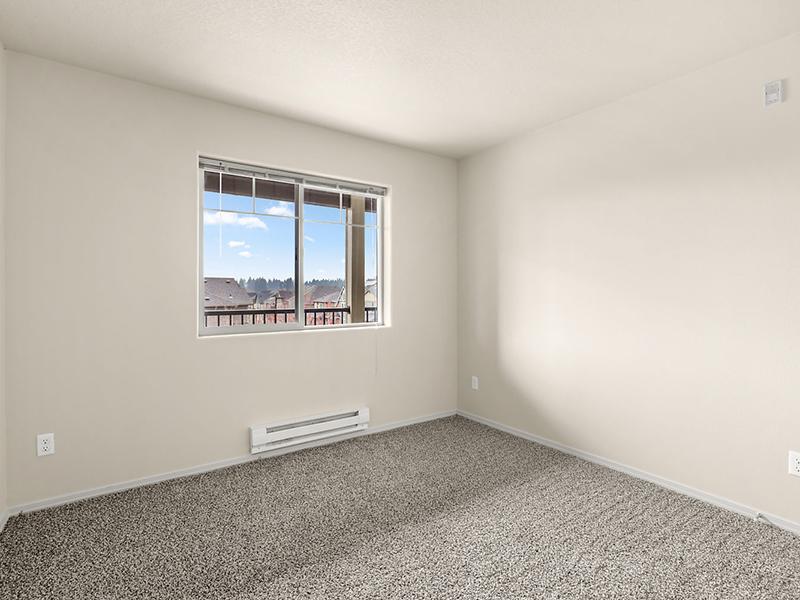 Baseline Woods Image 20