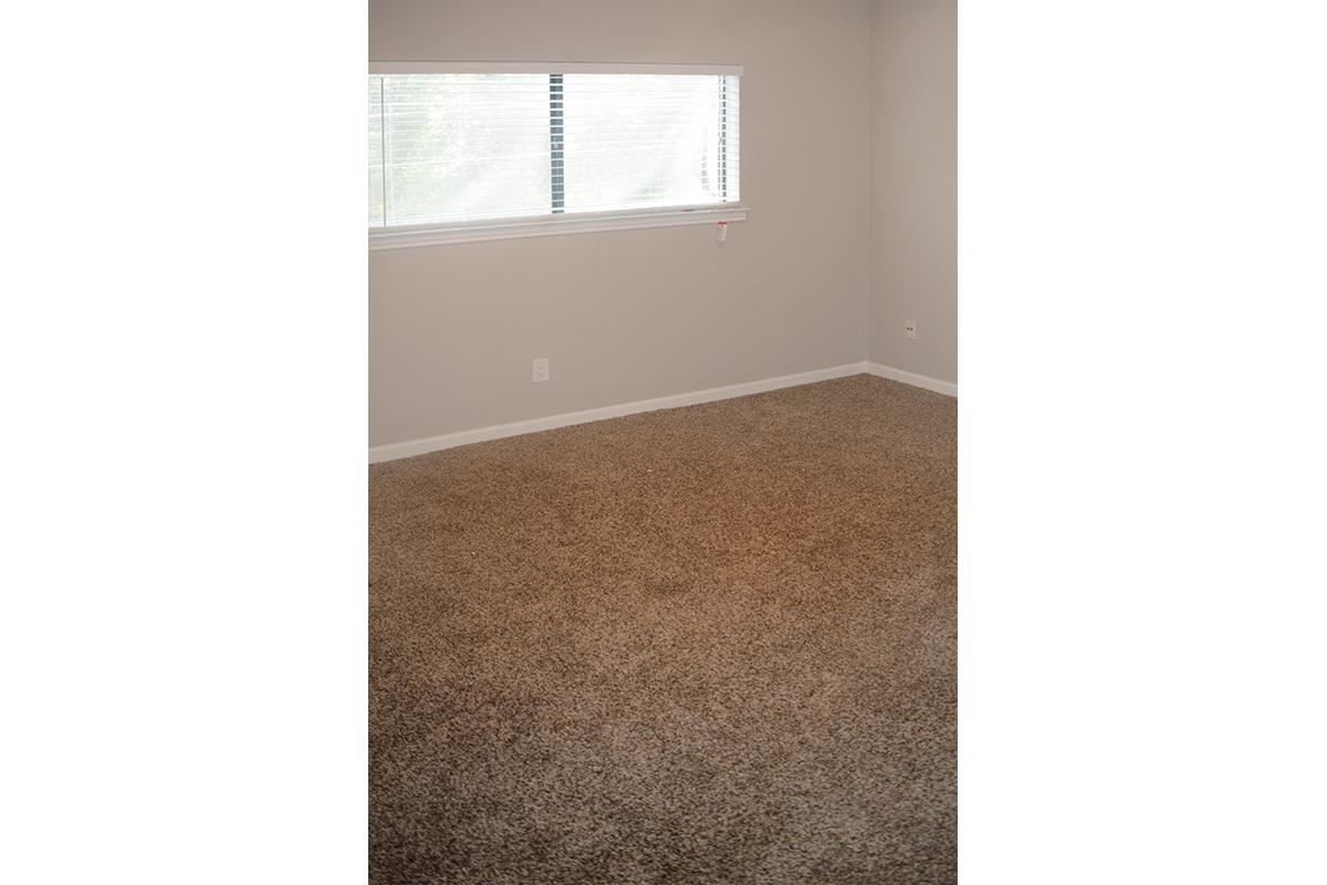 Bluff Springs Townhomes Image 66