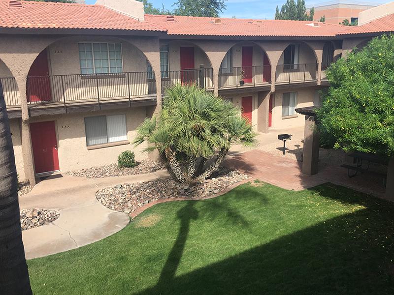 Sonoran Palms Image 3