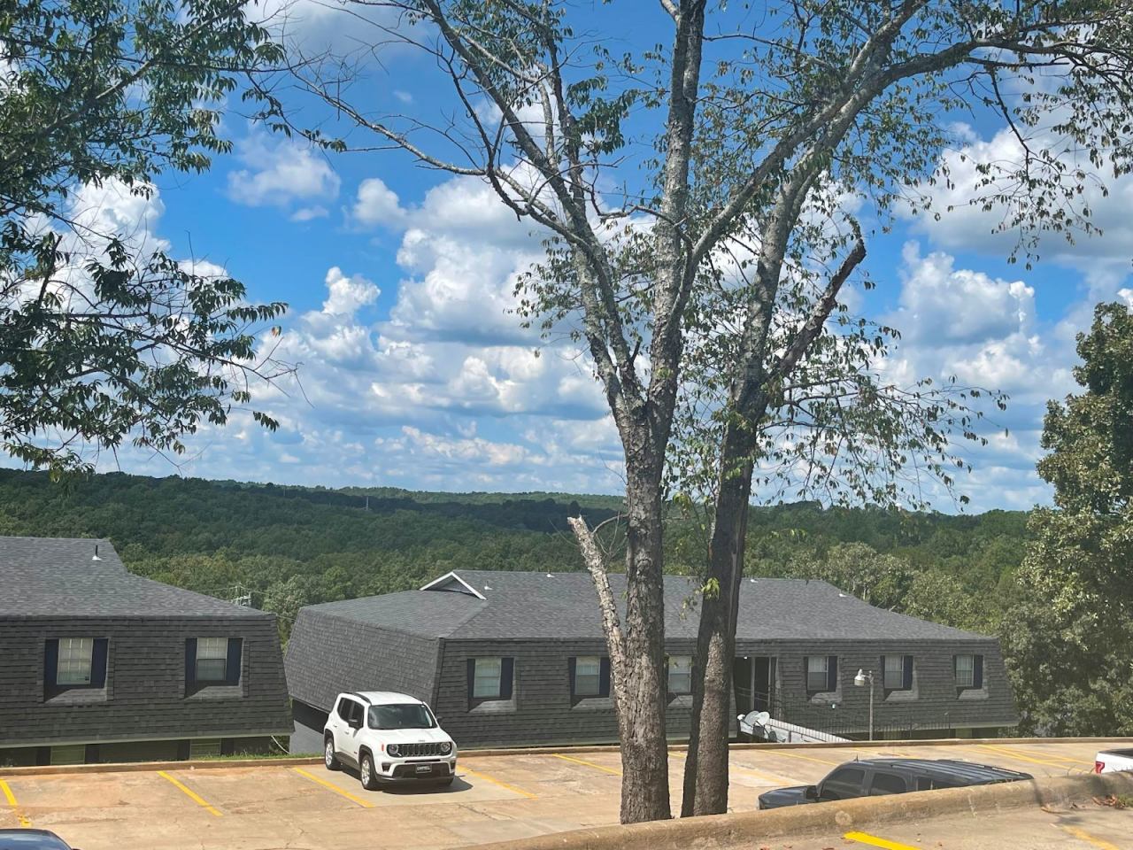 Augusta Place Image 1