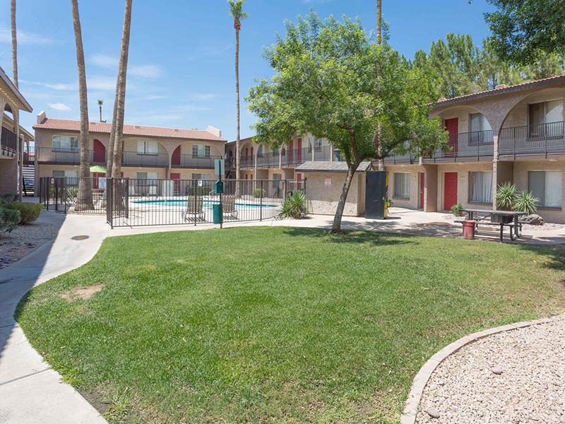 Sonoran Palms Image 4