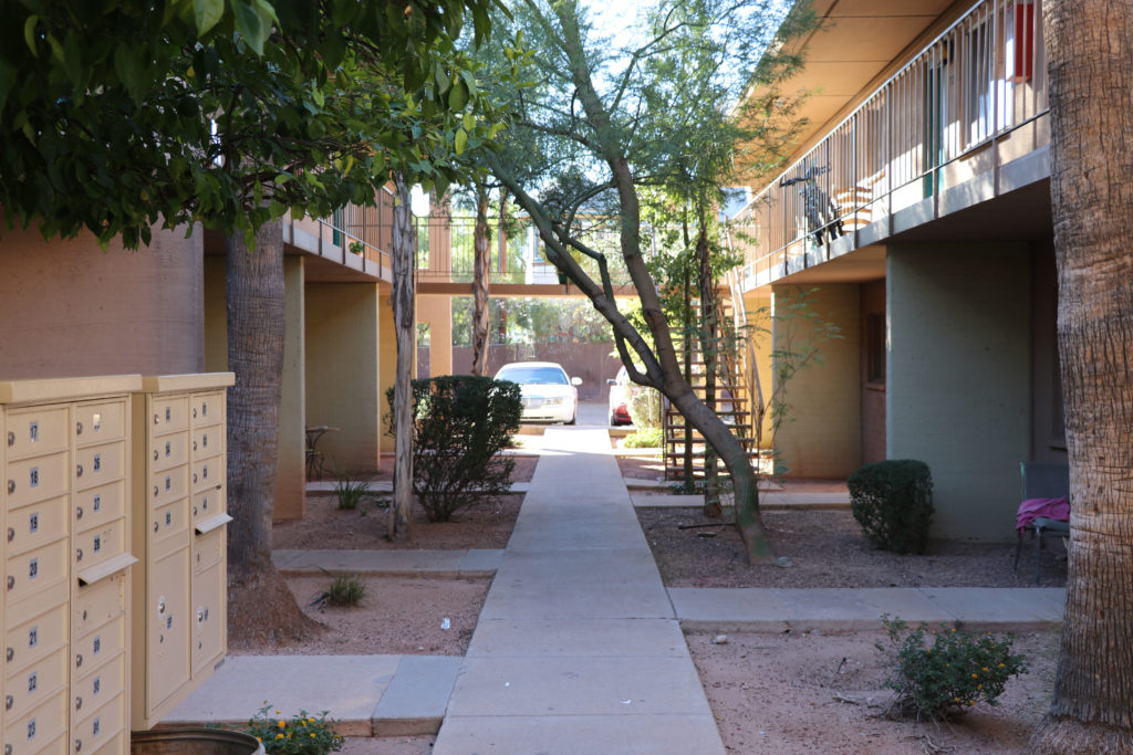 Palm Garden Image 18