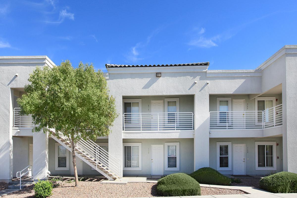 Desert Meadows Image 30