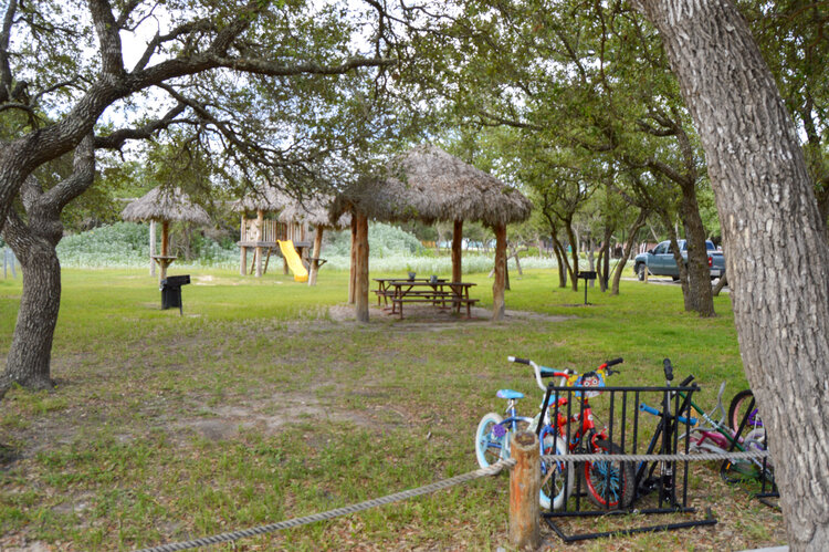 Oasis Image 11
