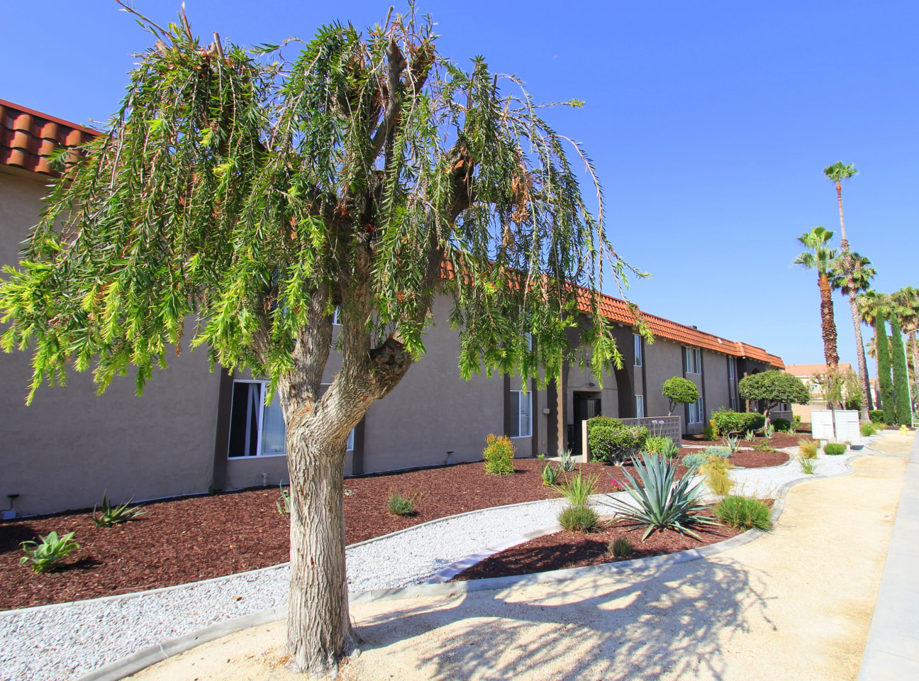Loma Linda Image 9