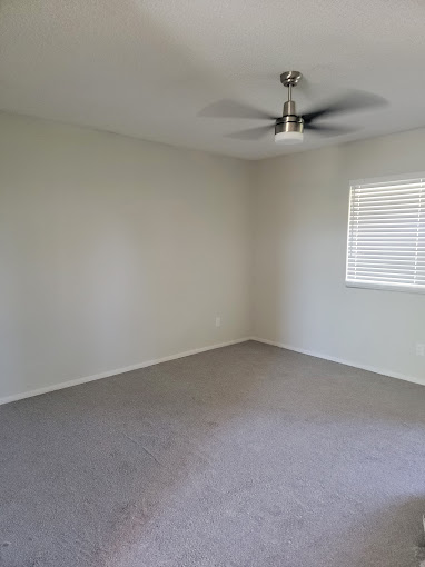 Wintercove Apartments Image 7
