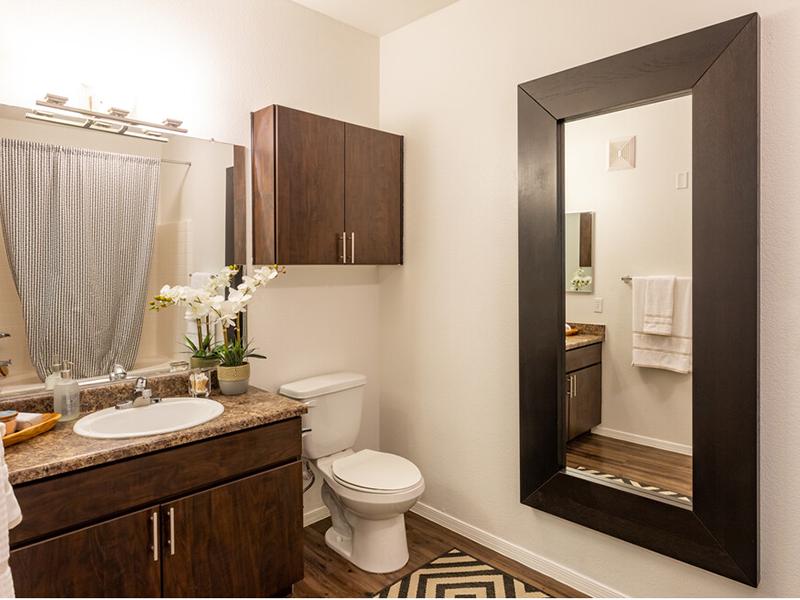 Elevation Luxury Apartments Image 28