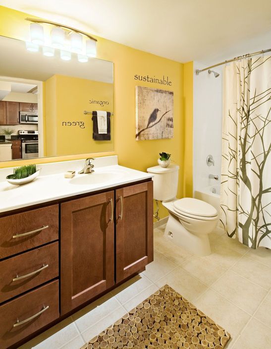 vPoint Apartments Image 4