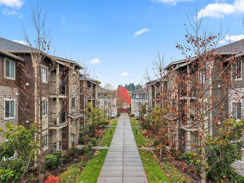Baseline Woods Image 46