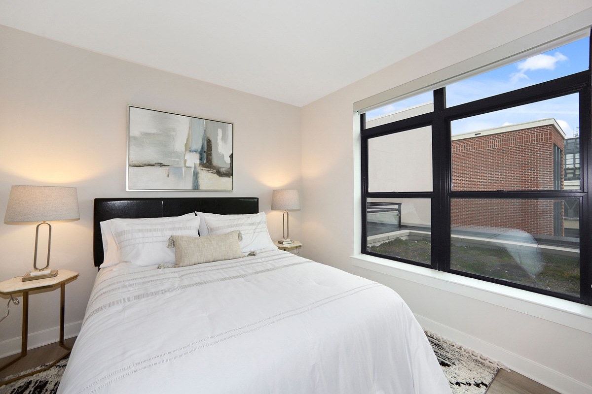 The Madrona Image 14