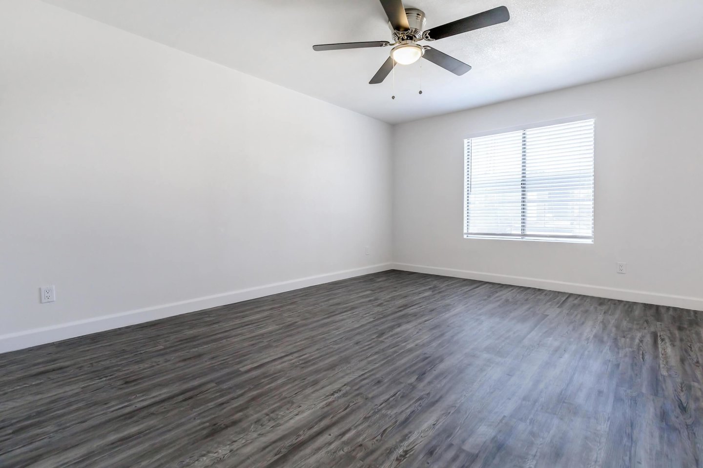 Palisade Park Image 65