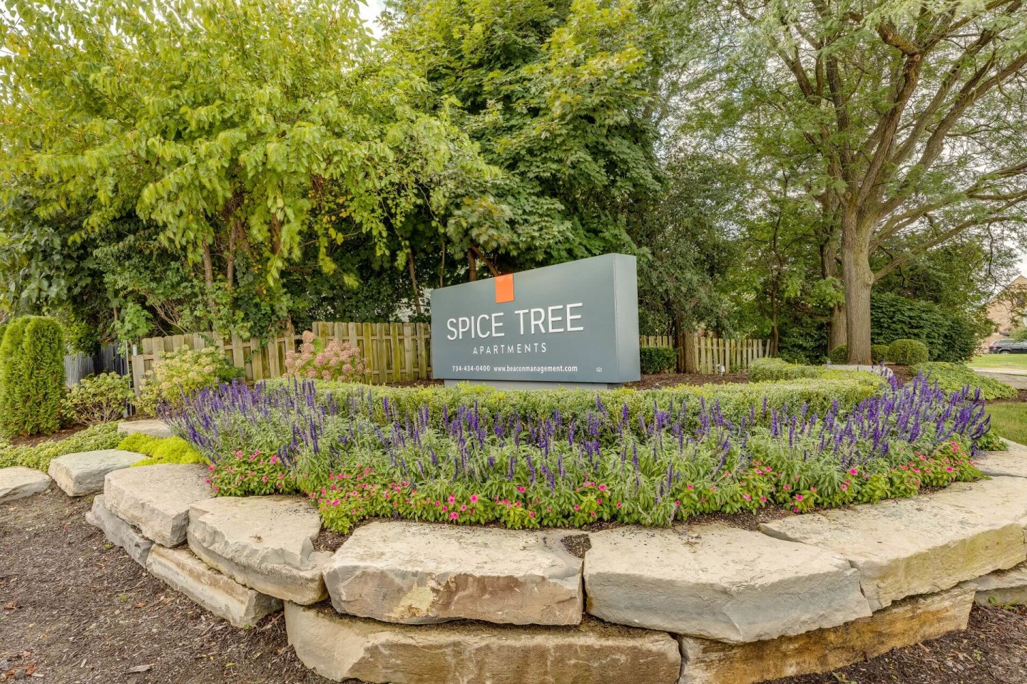 Spice Tree Image 9