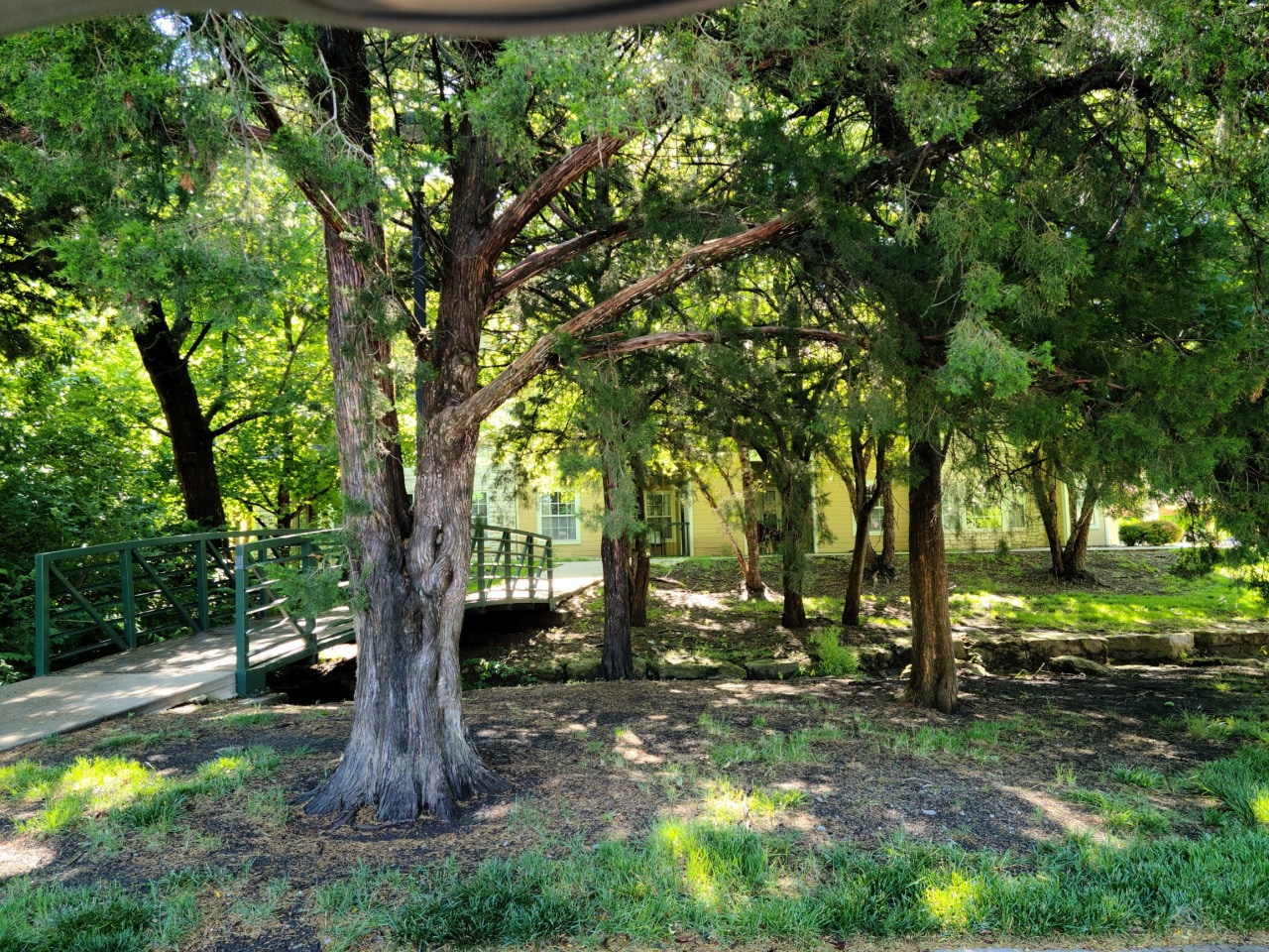Pinnacle Woods Apartment Homes Image 13