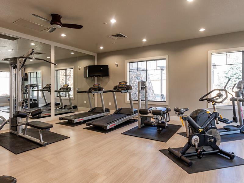 Elevation Luxury Apartments Image 22