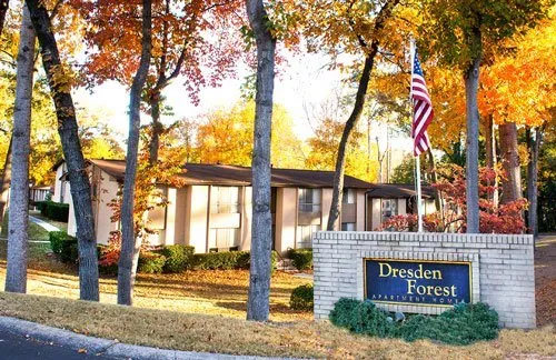 Dresden Forest Image 9