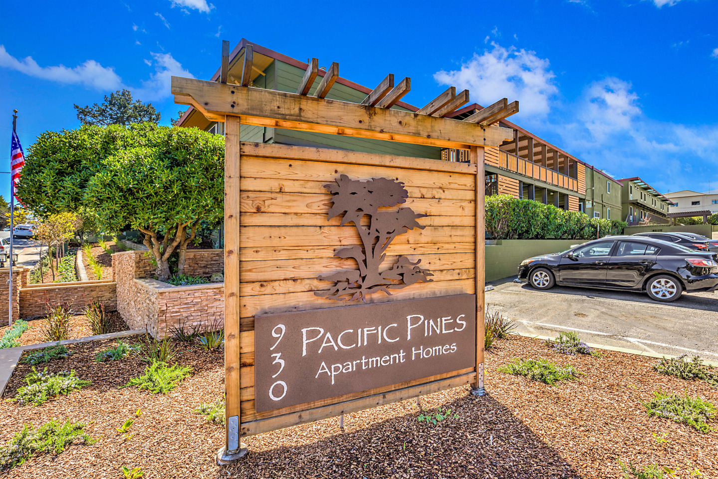Pacific Pines Image 9
