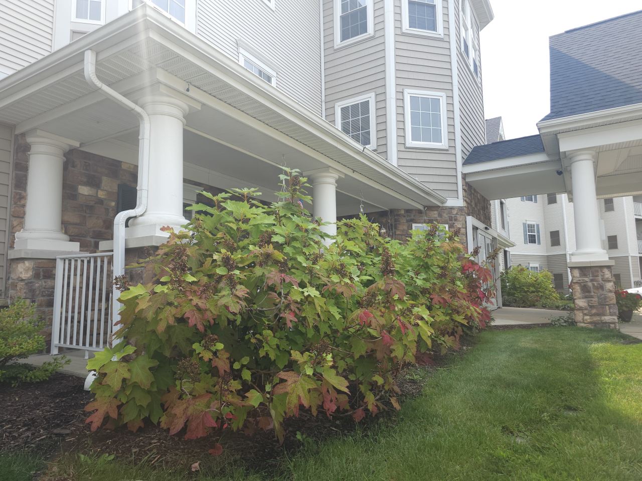 Oakhaven Manor - Senior Living Image 42