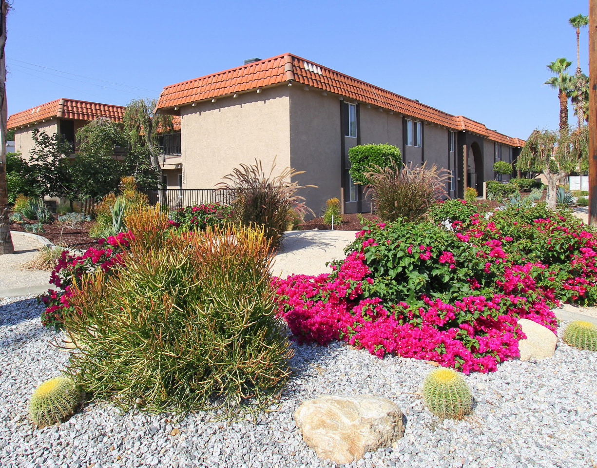 Loma Linda Image 7