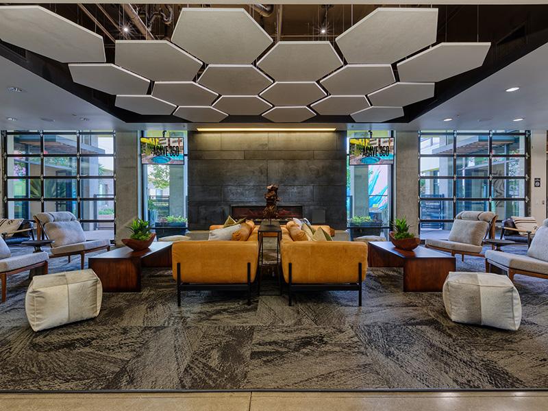 Agave 350 Image 17