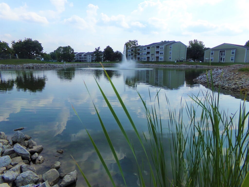 Pier 39 Apartments & Townhomes Image 5