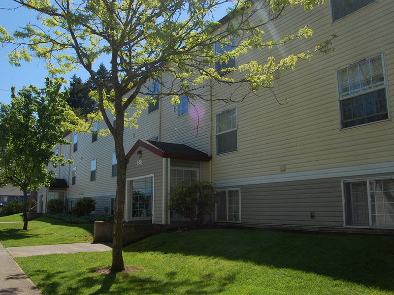 COHO138 Image 30