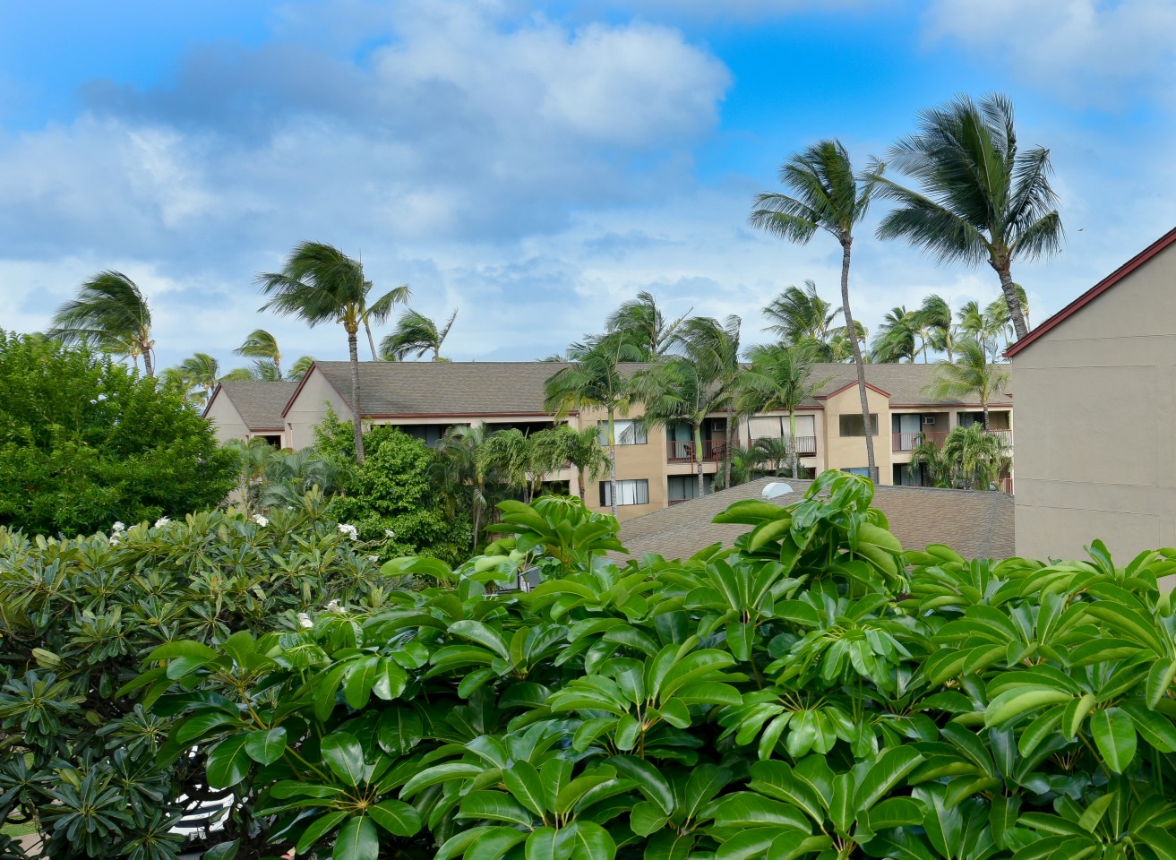 SUNSET TERRACE Image 6